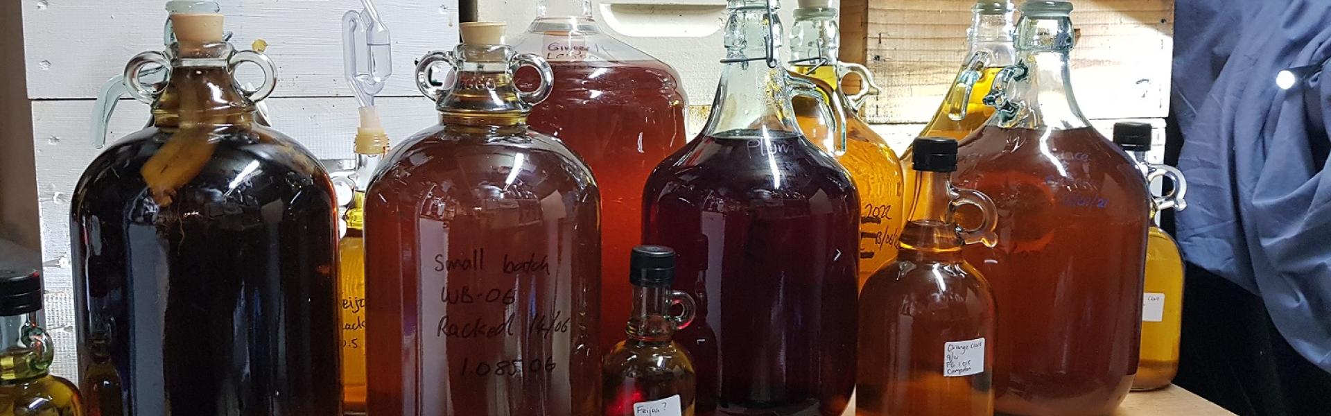 Making Mead