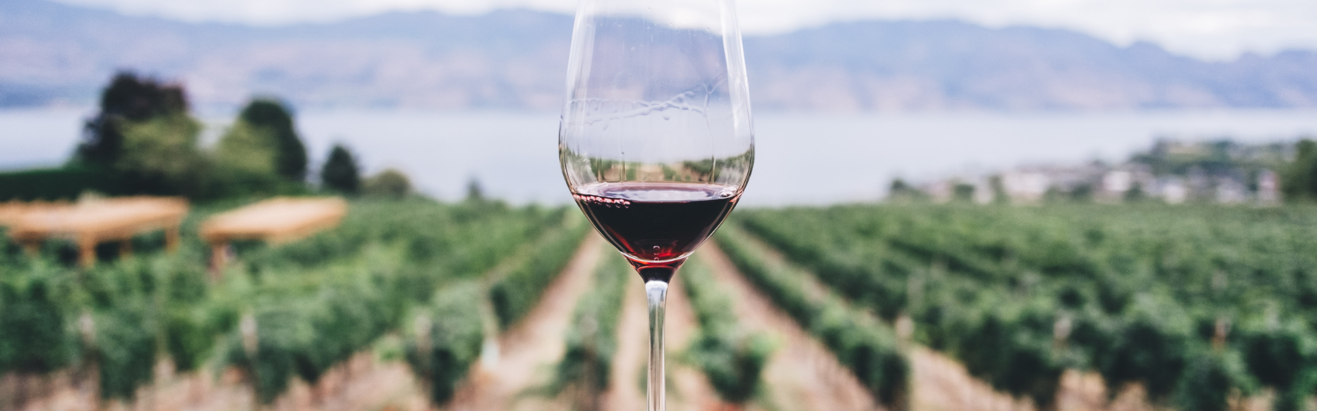 Wine, Cider and Mead