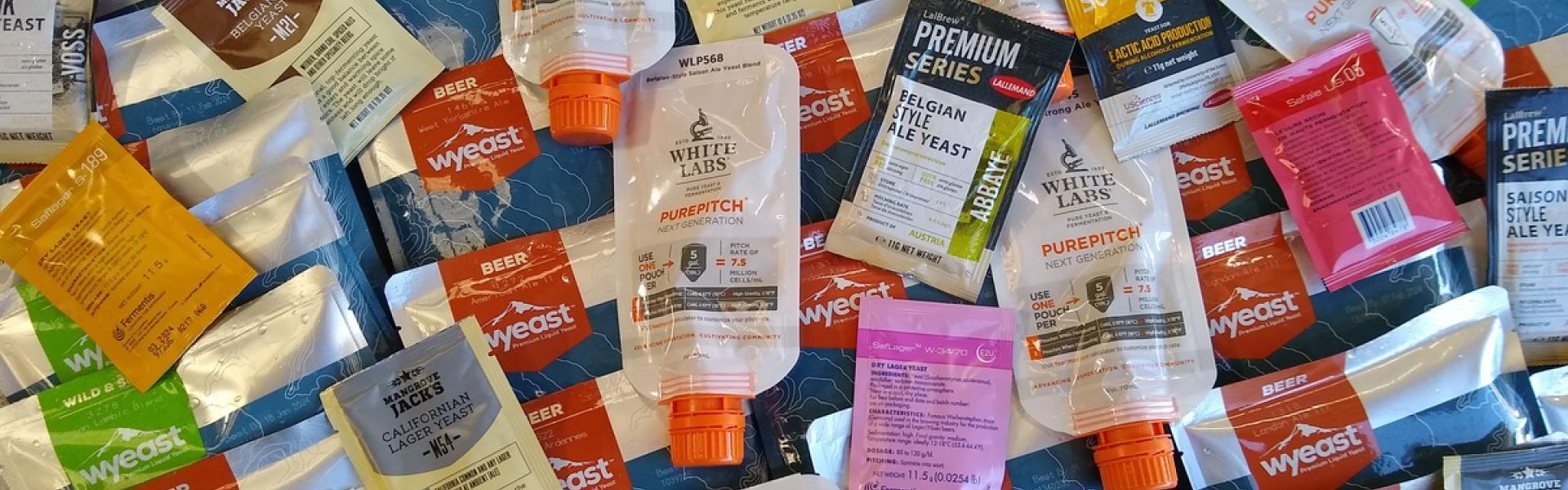 Yeast - Liquid or Dried?