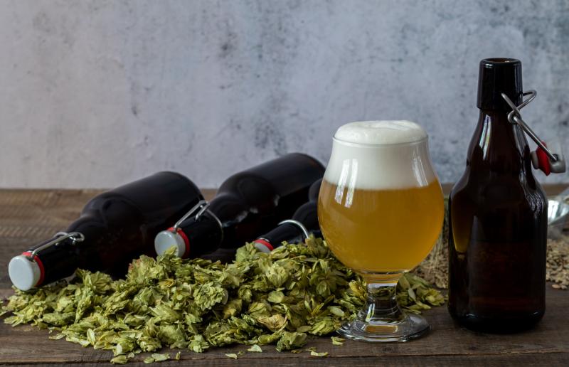 Beer Brewing