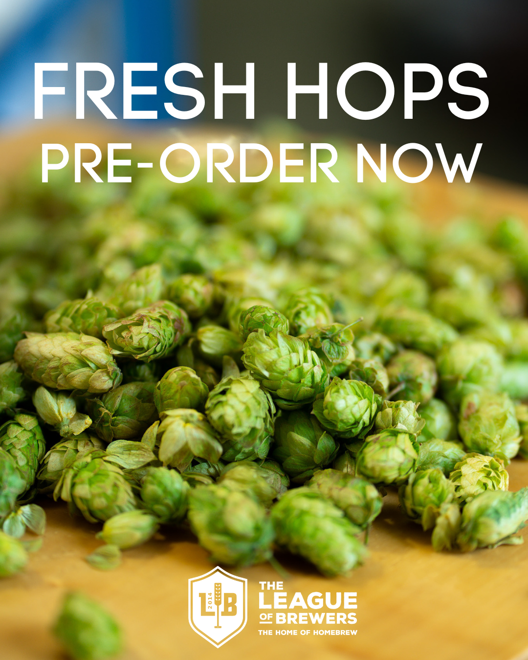 Fresh Hops 2026