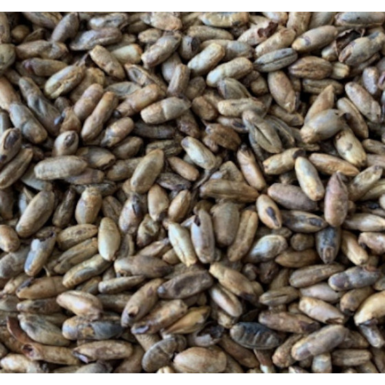 Gladfield Black Forrest Rye