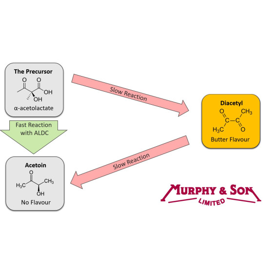 D Gone (Alpha Acetolactate Decarboxylase)