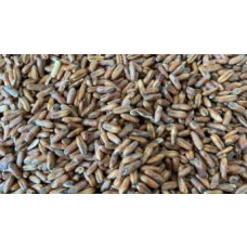 Gladfield Go Nutty - Roasted Oats