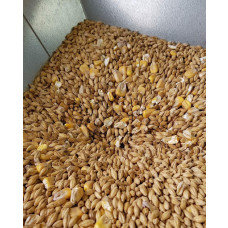 Gladfield Maize Malt
