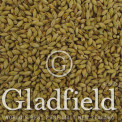 Gladfield Aurora malt