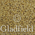 Gladfield Lager Light malt