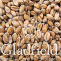 Gladfield Wheat malt