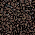 Gladfield Roasted Barley